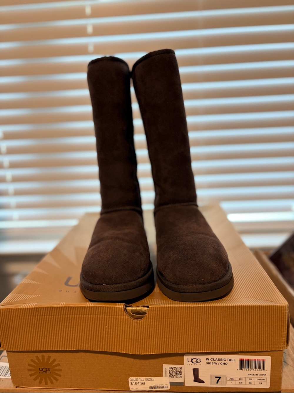 UGG Women's Tall Suede Boots in Chocolate